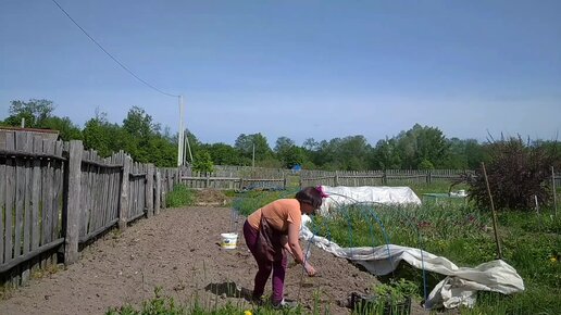 Дзен деревенская многодетная