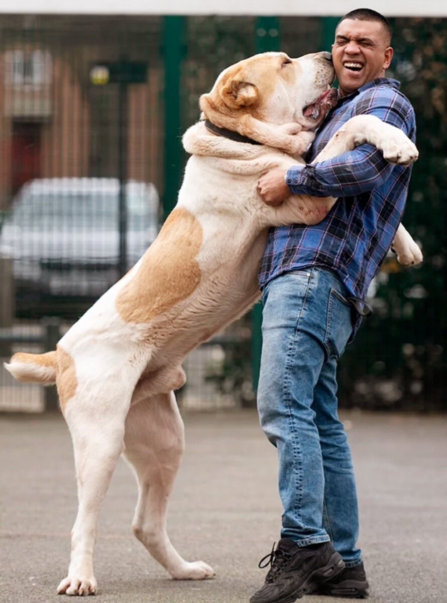 А вот главные герои нашей сегодняшней истории