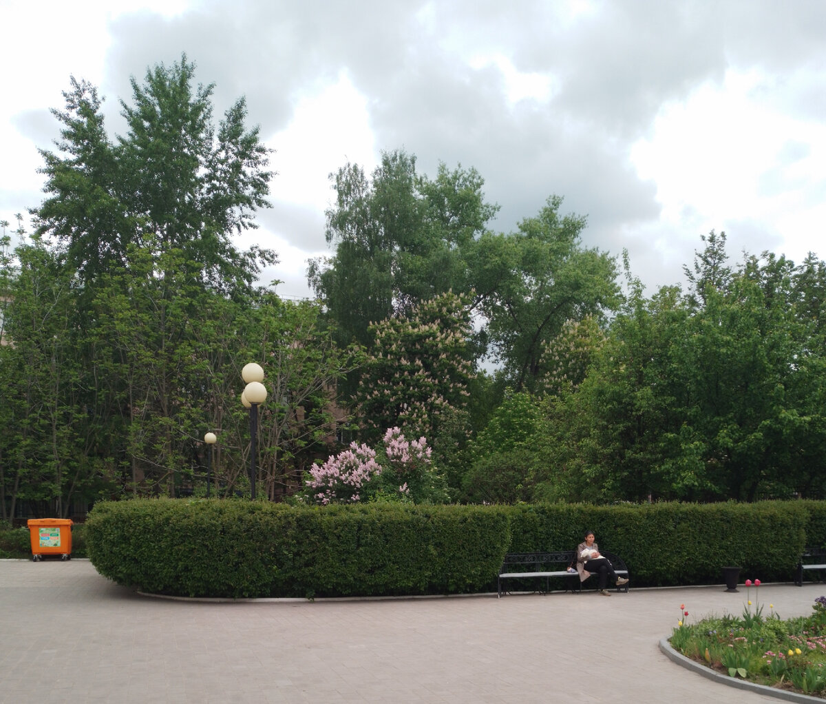 Рисуем сирень с художником Михаилом Левшиным.