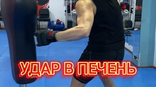 удар в печень бокс