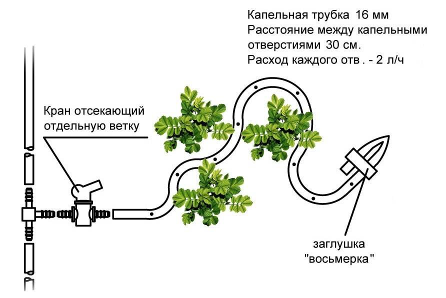 Разводка труб для полива на дачном участке план