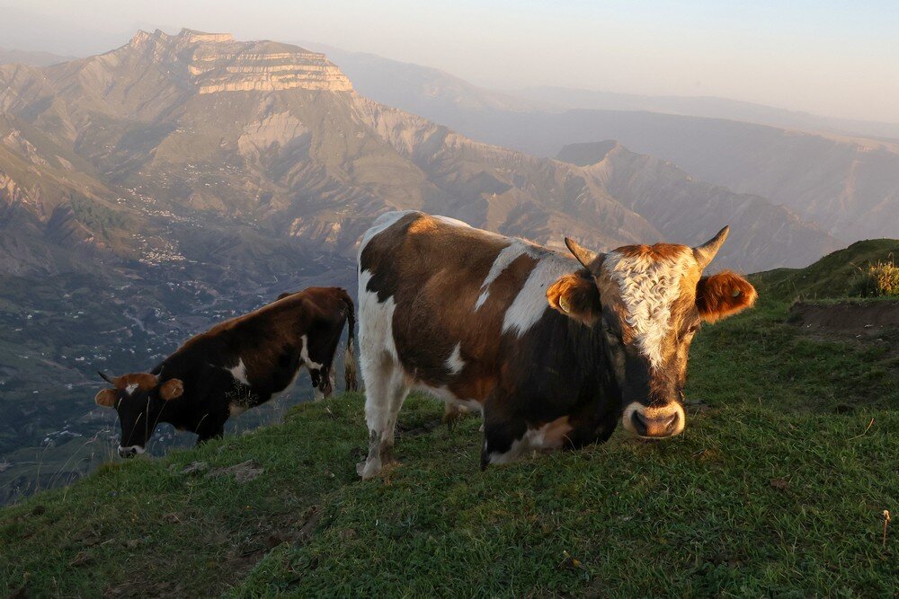 Фото: Валерий Шарифулин/ТАСС