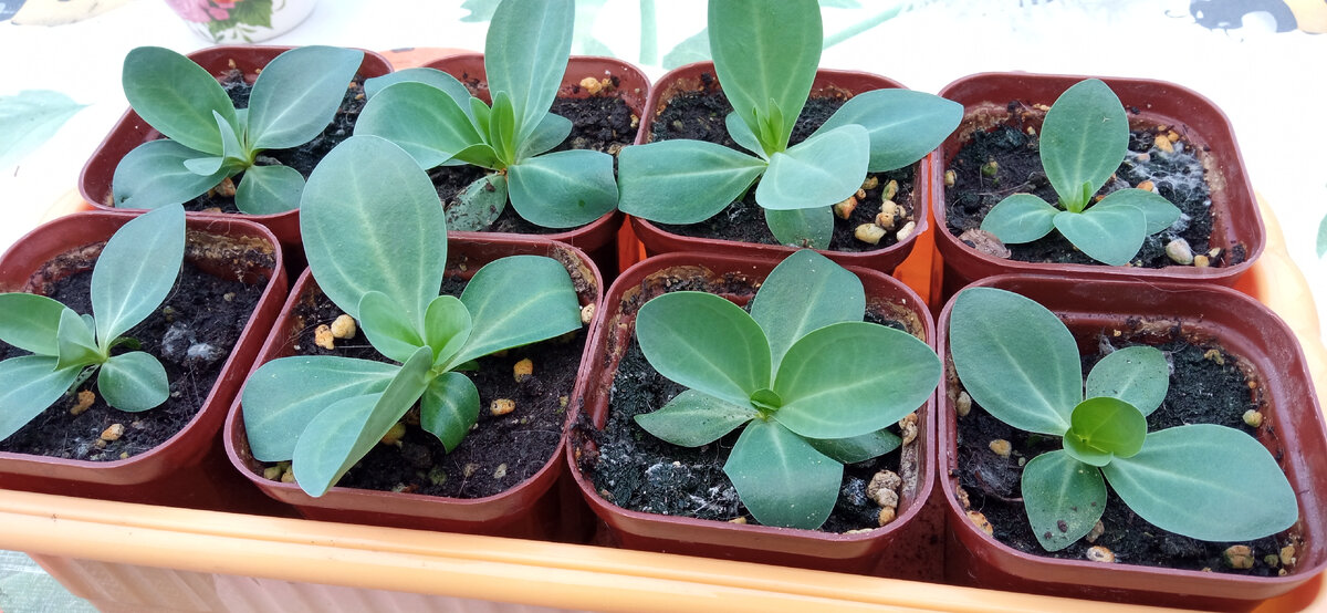 Фото сегодня 