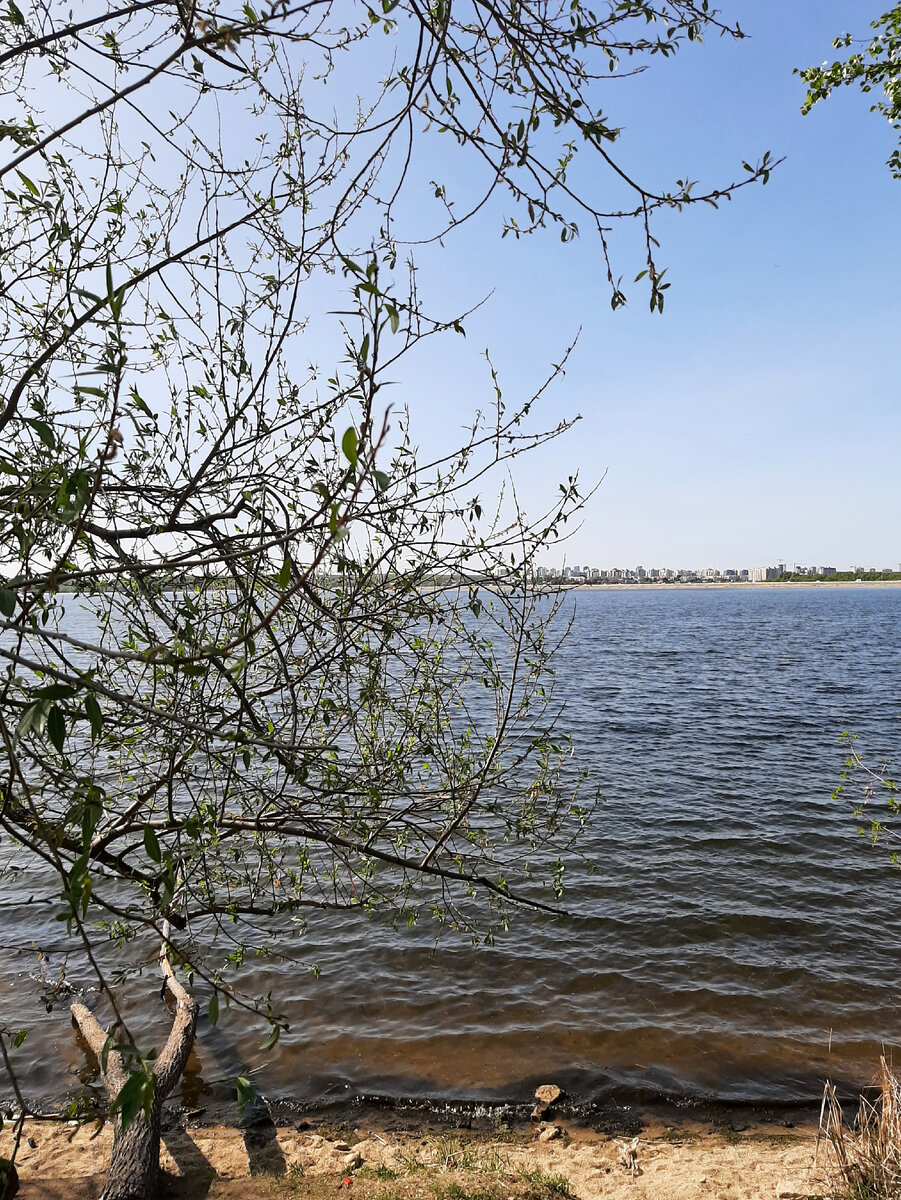 Прогулка вдоль Шершнёвского водохранилища | Творческая студия | Дзен