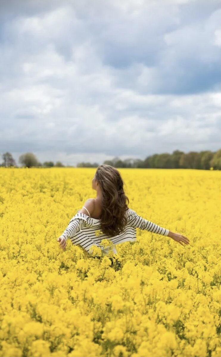 Картинка из свободного доступа в интернете 