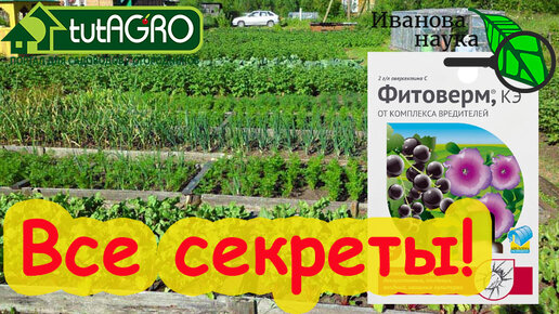 ВСЁ, ЧТО НАДО ЗНАТЬ ПРО ФИТОВЕРМ и АКТОФИТ. Подробности, которых нет на этикетке!