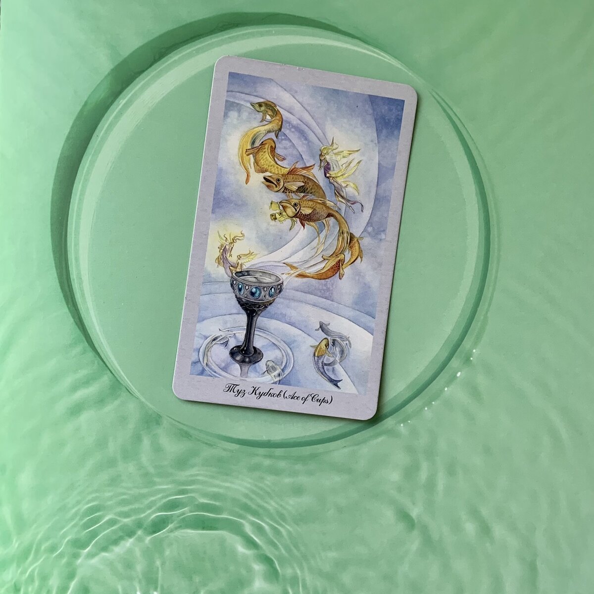 Туз Чаш из колоды «Таро Долины миражей»