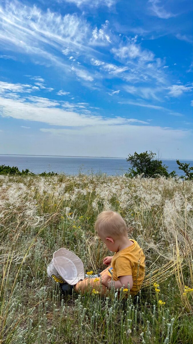 Вот так будет выглядеть моя земля, если ее «расчистить». Это мы с мелким и женой прогуливались вчера и она решила ему устроить фотосет) 