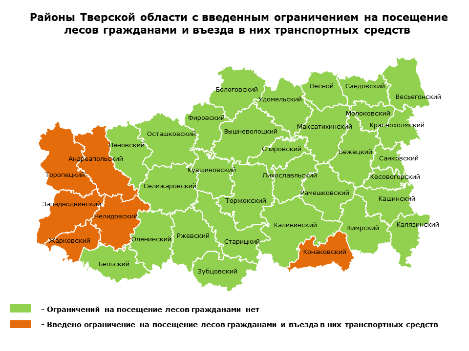 В Тверской области в 32 муниципалитетах леса посещать можно, но осторожно!