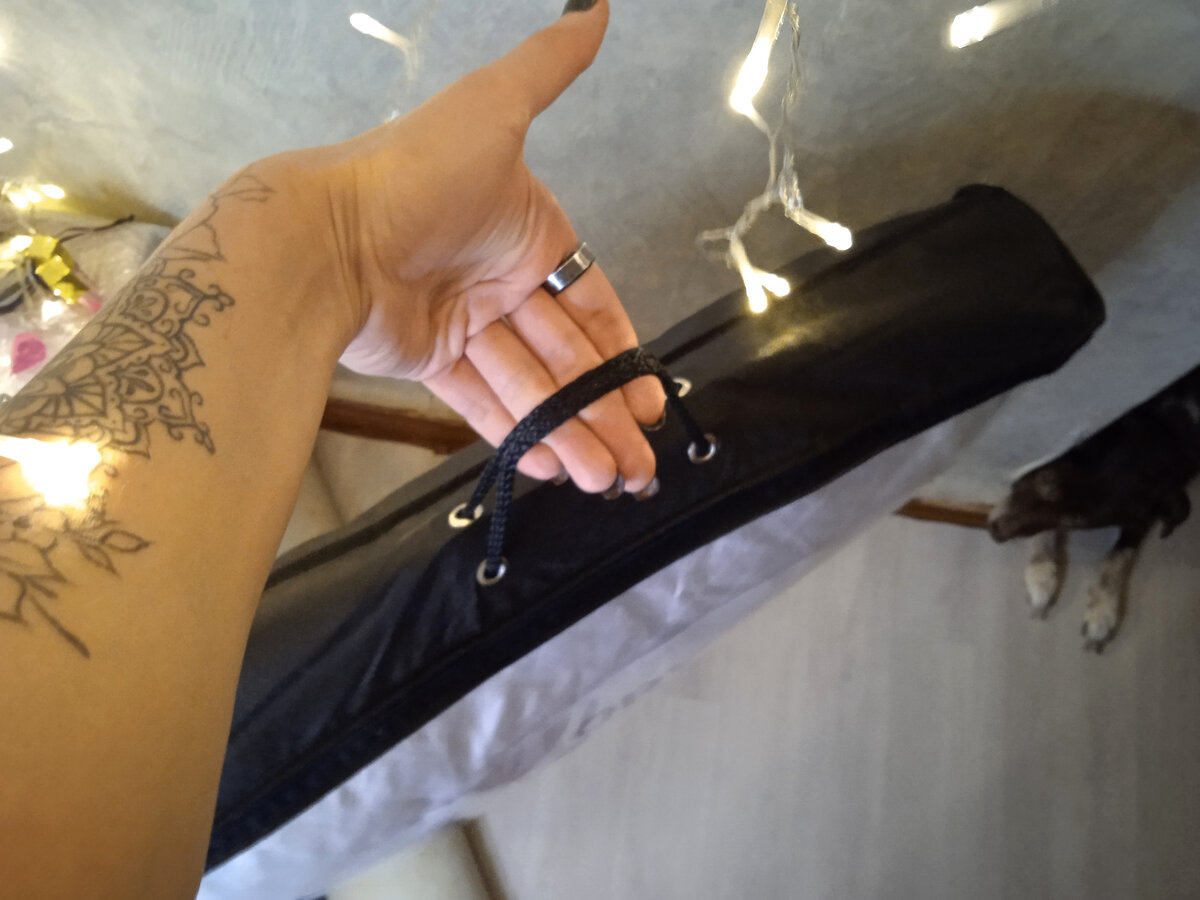 Зооиллюстрация строк романса .. "что ж ты, милая, смотришь искоса, низко голову наклоня.." фото автора канала 