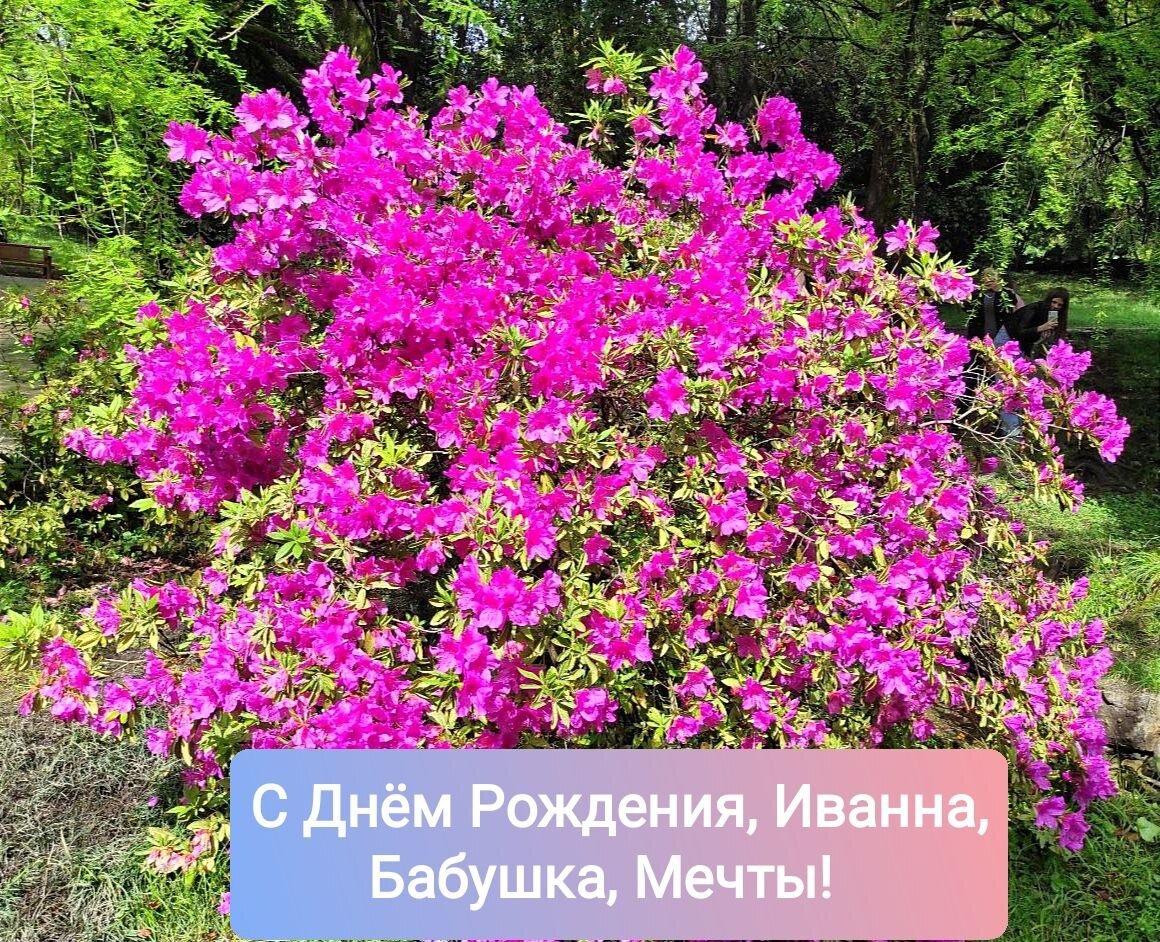 С Днём Рождения, Иванна, Бабушка Мечты!