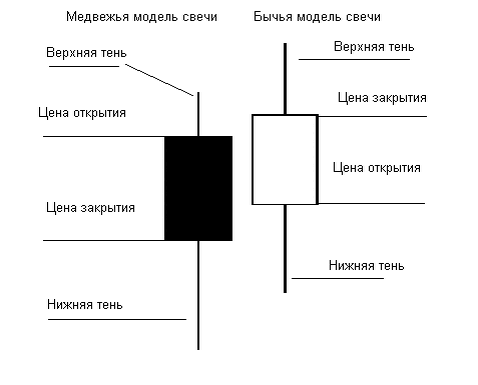 Нижняя и верхняя тени показывают максимум и минимум цен