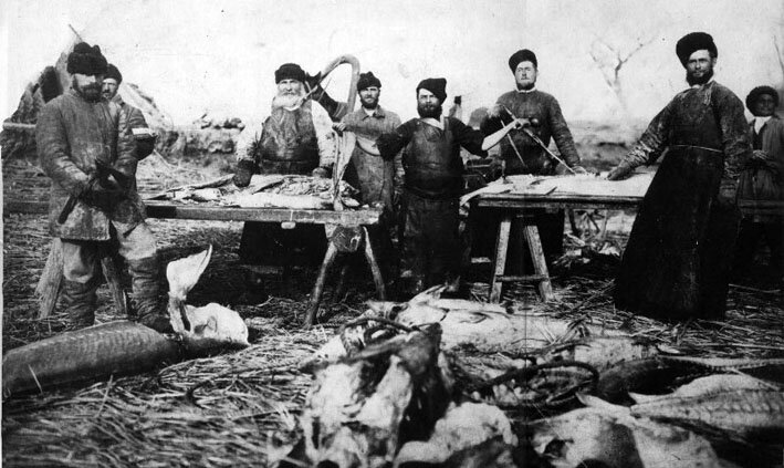 Рыболовная артель казаков Сладковых. Фото 1888 г.
