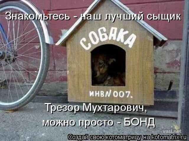 Слышишь псина. Каждый третий мем. Каждый третий шаблон. Ты псина. Слышь ты псина.