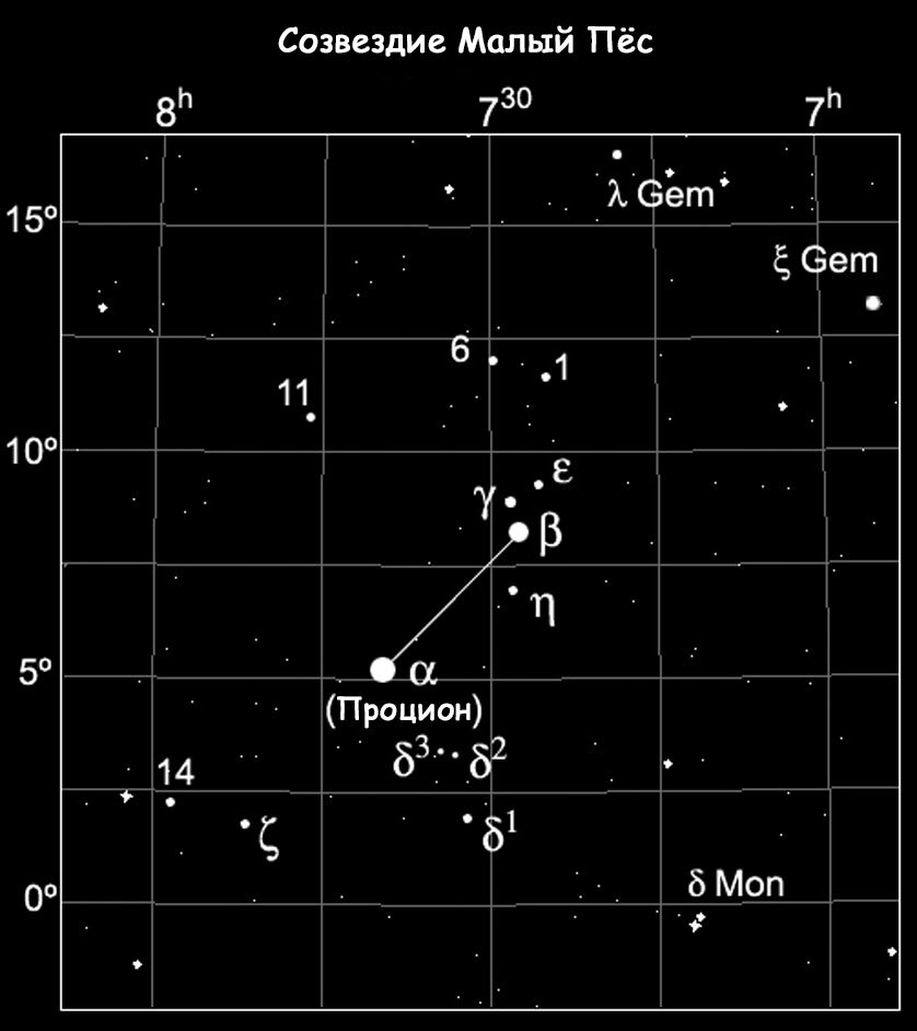 Созвездие Малый Пёс