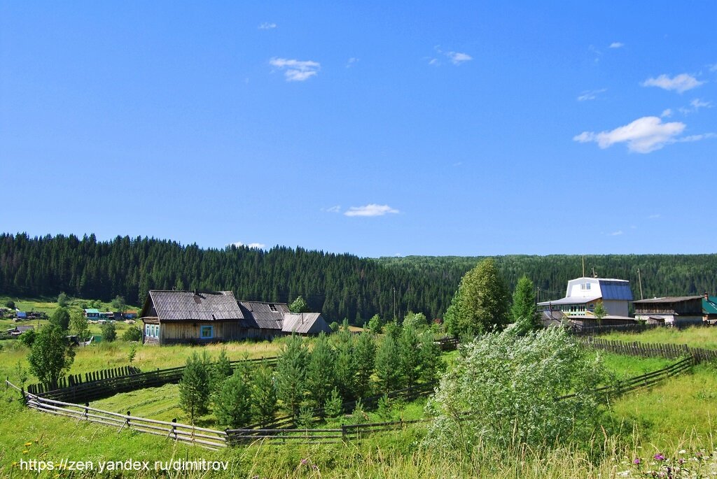 Кусье александровский фото