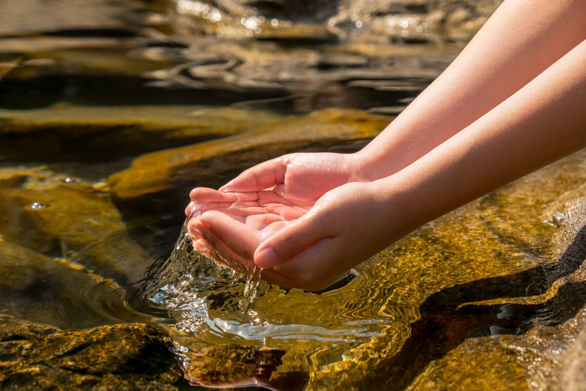 Способы очистки воды в природных условиях | Поход лайфхак | Дзен