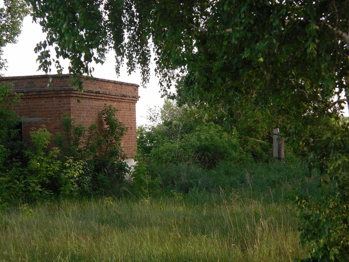 4 часа в Балаково в 2010, ч.6 Троллейбус в совхоз им. XXV съезда | Жабкин |  Дзен