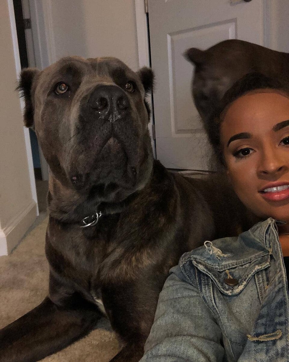 (Фото источник: https://www.instagram.com/imteannatrump/?hl=en)