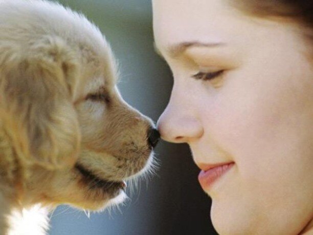 Дарите всем вашу любовь)))