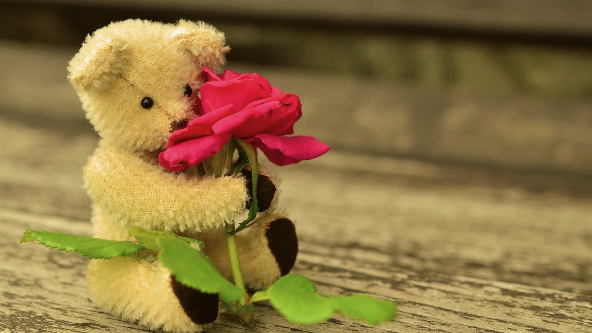 источник фото https://clck.ru/E6aMV 