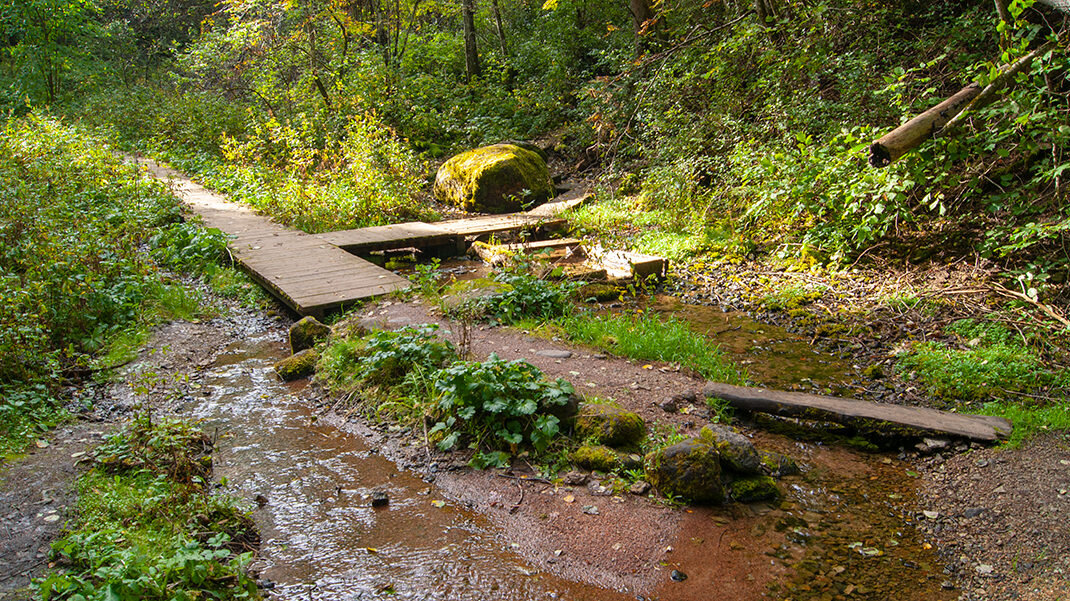 Радоновые озера в Ленинградской области | 4traveler | Дзен