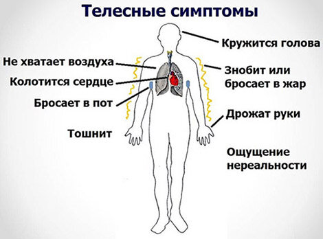 Основные симптомы панической атаки – это резкое ухудшение самочувствия, которое сопровождается чувством панического страха, волнения, необъяснимого эмоционального всплеска с беспричинным беспокойством, иногда даже со страхом смерти, что также сопровождается вегетативными переменами в организме. Испытать приступ панической атаки может каждый третий, и большую часть принимают на себя удар городские жители. Также женский пол в 2 раза чаще испытывает резкие приступы паники, чем мужчины.