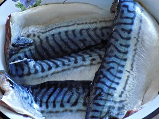 скумбрия рецепты в духовке