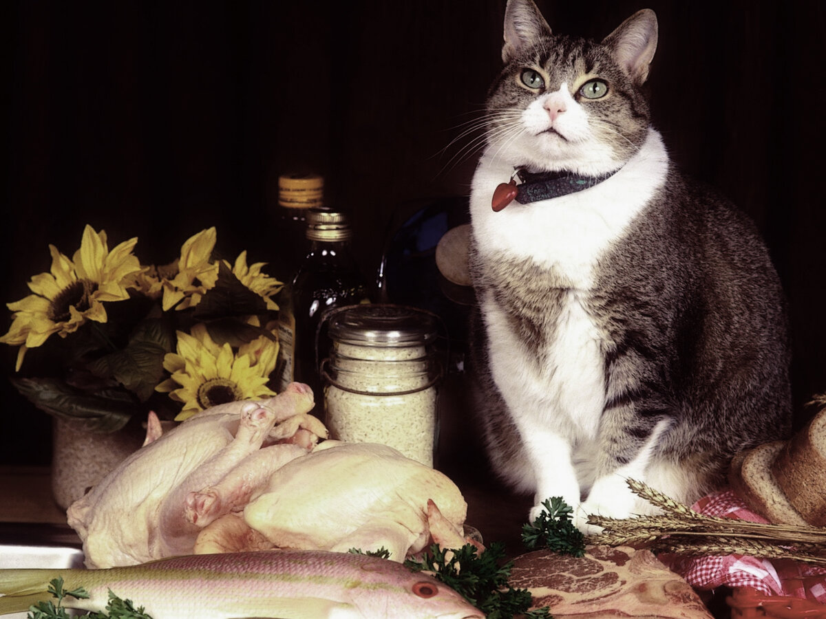 Притчи, поучительные истории, рассказы 