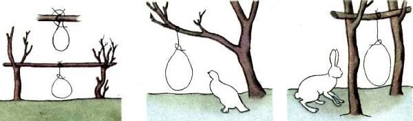 Капканы петли силки ловушки. Силки-петли для ловли мелких птиц. Силки что означает. Силок. Силки ловушки на зайца.