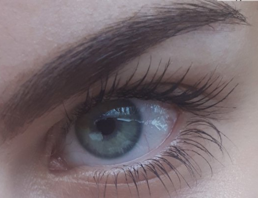 Фото Snoopy 8833 