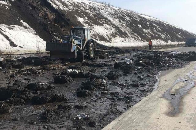 В начале года на место «бурейской аномалии» выезжала группа учёных Института водных и экологических проблем ДВО РАН. Их интересовали две вещи: почему именно здесь сошёл гигантский оползень и может ли история повториться