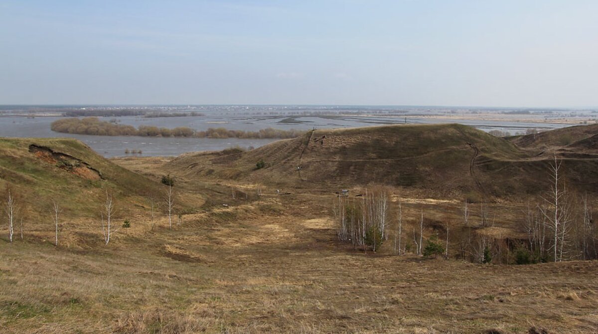 Городище № 1 (Перевитск), ХI – ХIII, ХIV – ХVII веков – к востоку от села, около 400 метров к северу – северо-востоку от церкви, мыс правого берега реки Ока, между двумя оврагами. Площадка подчетырехугольная в плане, вытянута  севера – северо-запада на юг – юго-восток, ее размер около 150 на 100 метров, высота над рекой 25 – 30 метров. С напольной юго – юго-восточной, северной и западной сторон сохранились остатки валов. С напольной стороны их высота около семи метров (в конце ХIХ века она достигла 11 метров), с внешней стороны вала имеется ров. В западной части напольного вала находится прорыв, образовавшийся, вероятно, на месте башни. С западной и северной сторон валы сохранились на высоту около 50 сантиметров (в конце ХIХ века – около 3,6 метров). Площадка нарушена ямами (возможно, следы древних землянок), распахивается, частично засажена деревьями, прибрежная восточная часть разрушается рекой. В южной части площадки, по преданию, находился храм, близ которого, вероятно, располагалось кладбище. Культурный слой «темновато-желтого» цвета, мощностью 45 – 75 сантиметров. Керамика гончарная древнерусская с линейным орнаментом, позднесредневековая красноглиняная ХIV – ХV веков. Найдены также шиферное пряслице, стеклянные браслеты, кости домашних животных. Зафиксированы остатки очагов. Под насыпью вала, оползшей от разливов реки, в начале ХХ века «были заметны угли рубленых в лапу дубовых срубов».