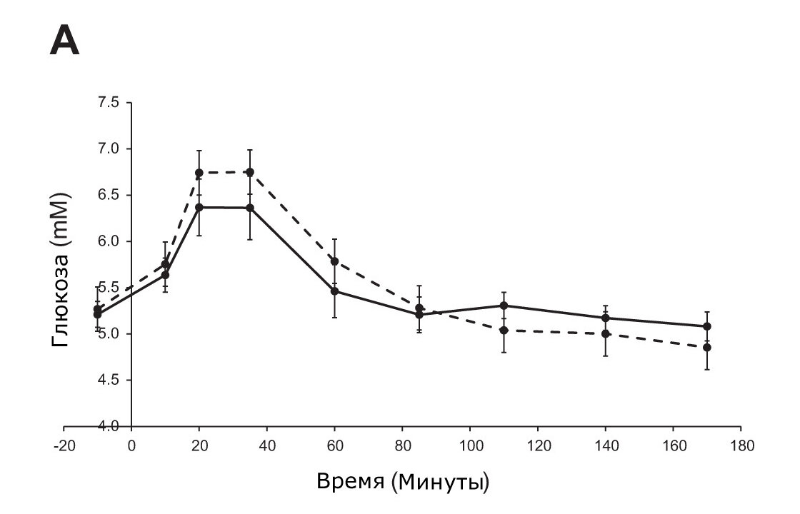 Рис.А. Средние концентрации глюкозы обнаруживаются в плазме после употребления каши, приготовленной из овсяных хлопьев (сплошная линия) или овсяной муки (пунктирная линия).