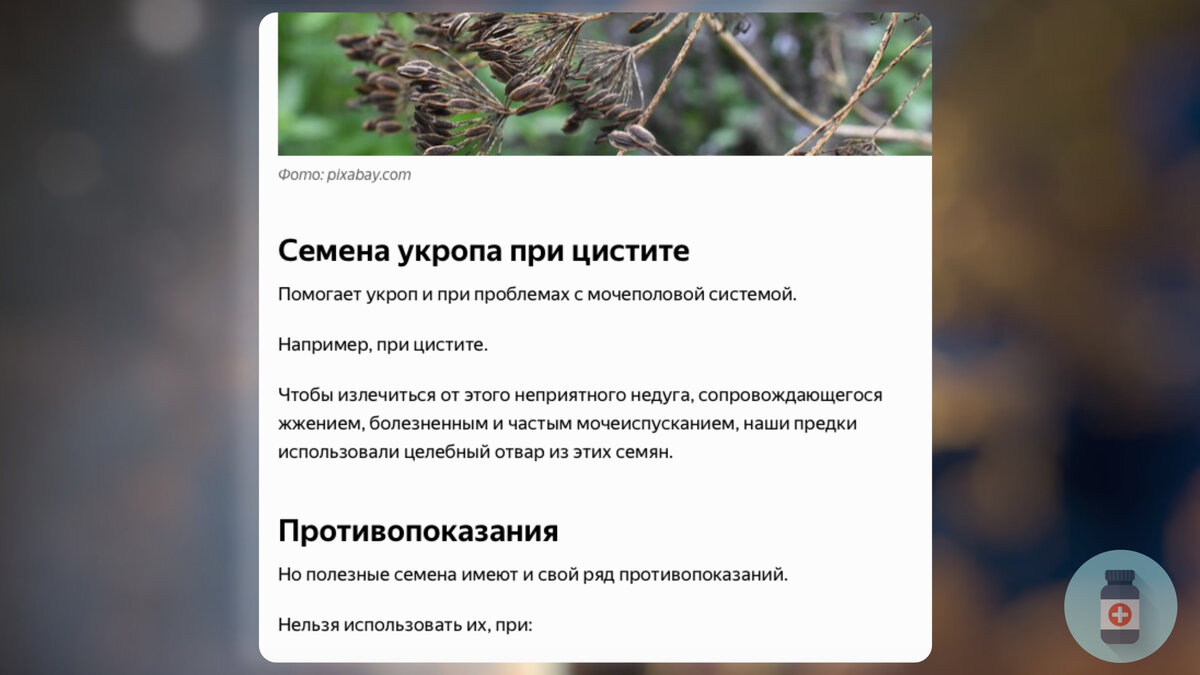 Семена укропа от цистита. Настой из семян укропа для похудения. Семена укропа при цистите. Семена укропа лечебные. Мочевой укроп.