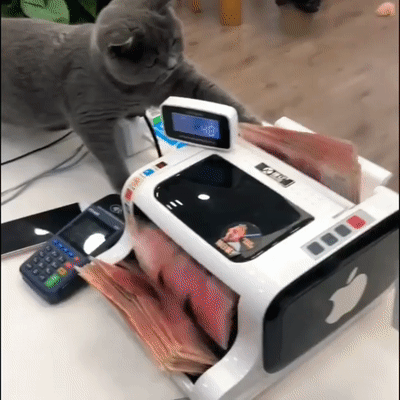                                                                                                                                                                                    
Каждый из нас желает и мечтает быть богатым. Под богатством многие понимают материальный достаток. Это особняки, дворцы, яхты, личные самолёты и.т.п. 