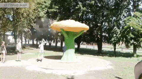 Сказочное дерево в ст. Платнировской