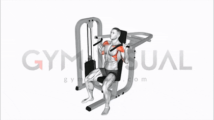жим на плечи, сидя в тренажере: техника выполнения (анимация с сайта gymvisual.com)