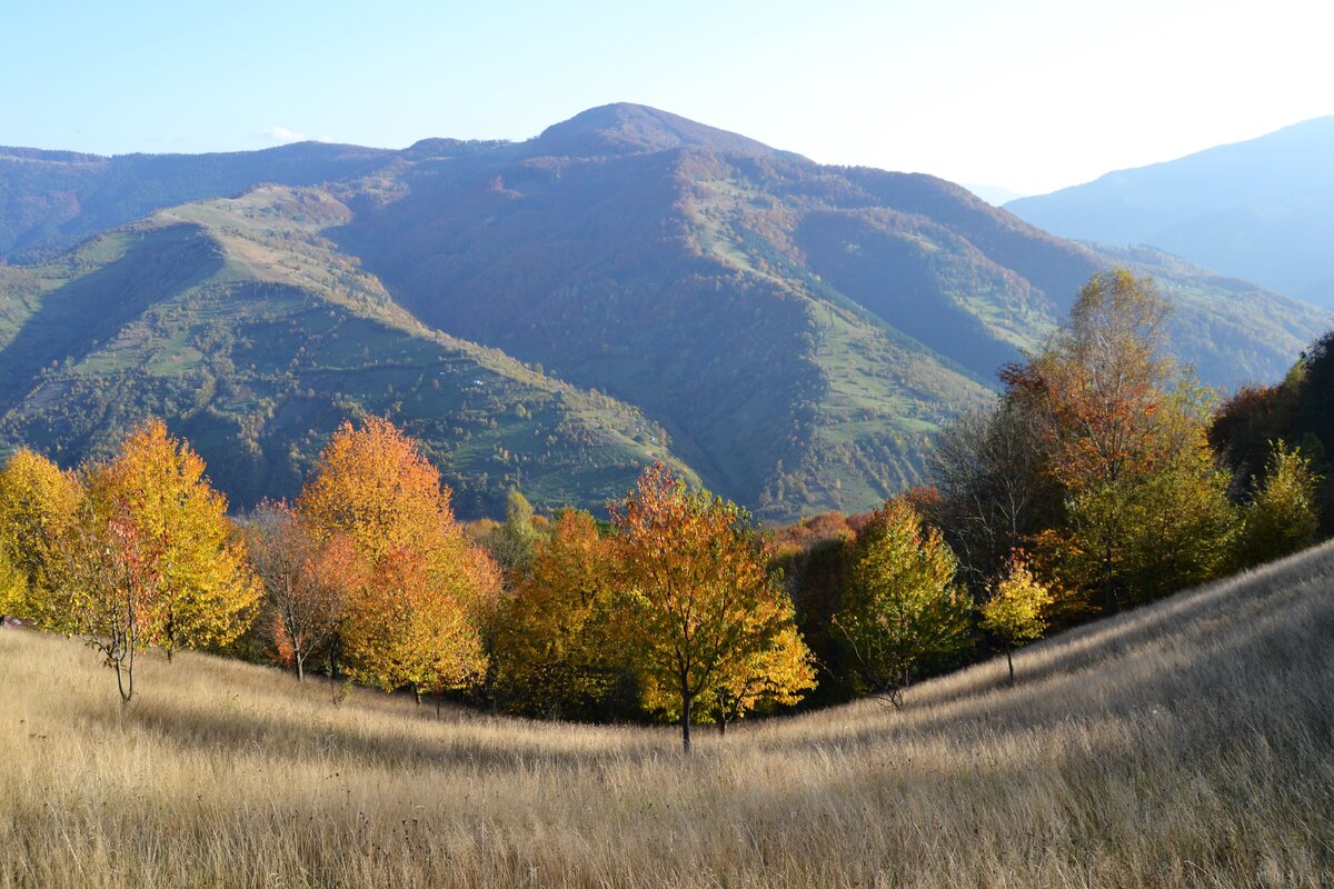 Карпаты Болгария