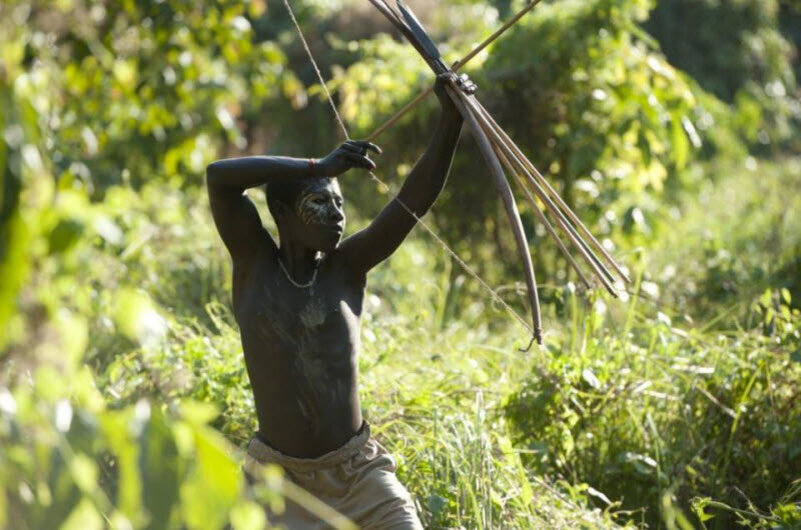 Источник: https://terra-infiniti.com