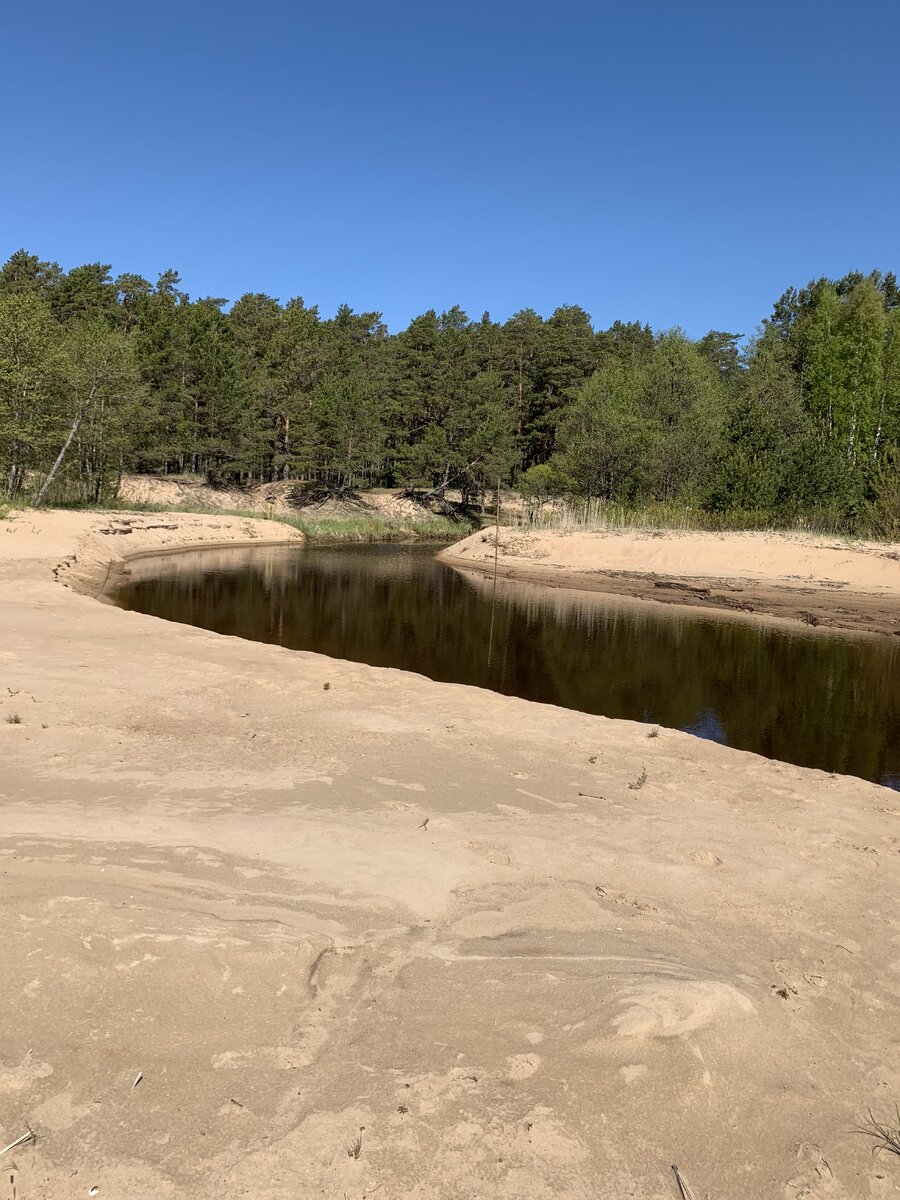 Из архива Галы Грибоедовой