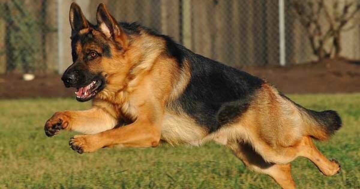 Фото из сети Интернет