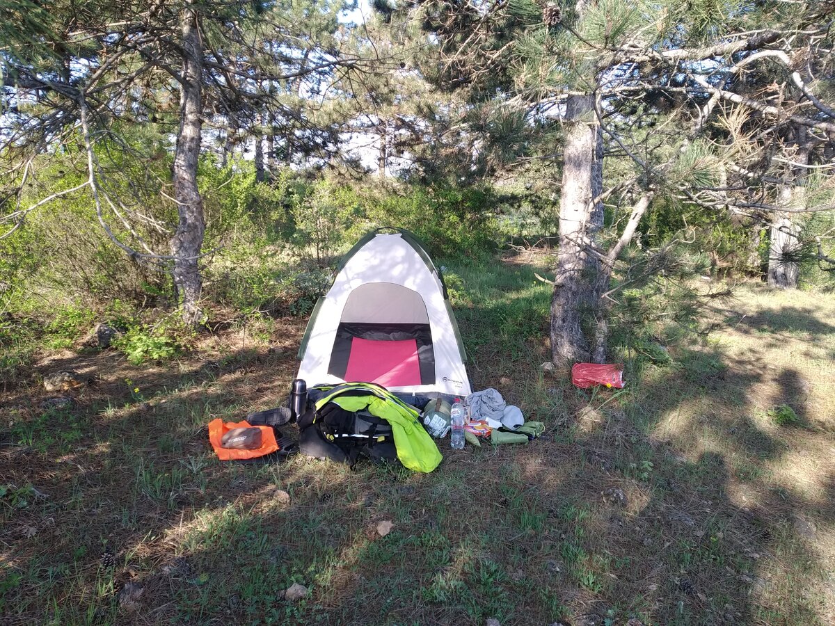 Палатка в леске около СНТ.