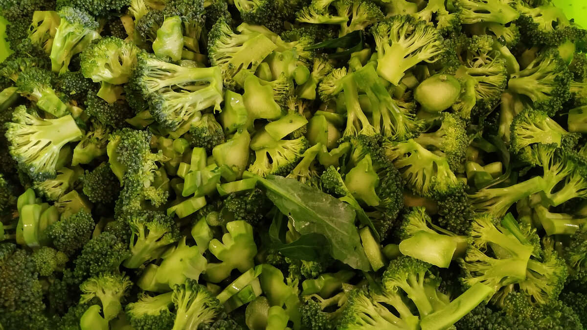 Свежая, только собранная брокколи.