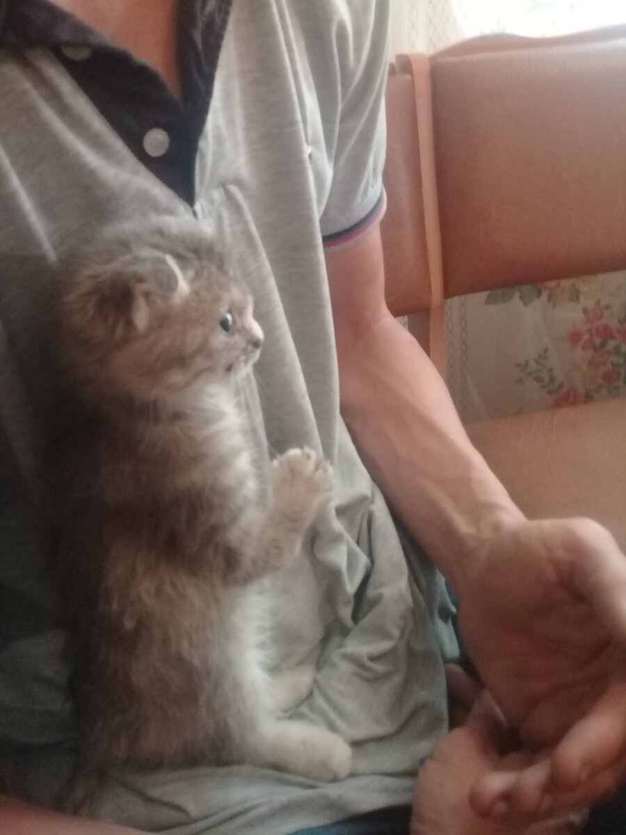 Больше у ребенка лапка не разгибается. 