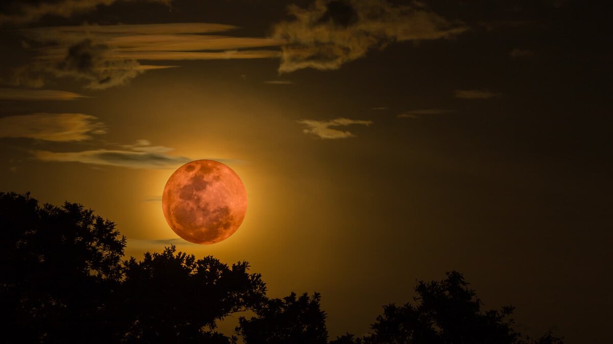 Источник TapTut.com: Интересные факты о Луне | Интересные Факты