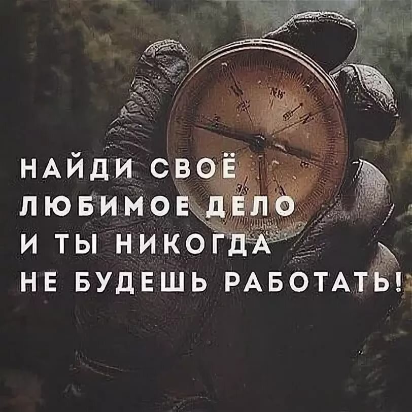 Фото взято с интернета