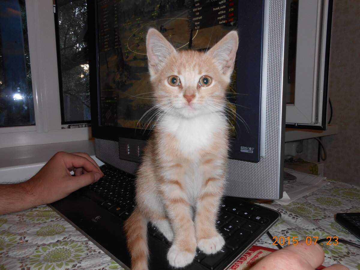 Лева во всей красе