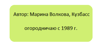 Мох на фундаменте насколько это плохо