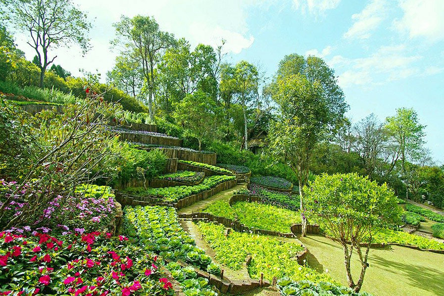 Пример с террасами 